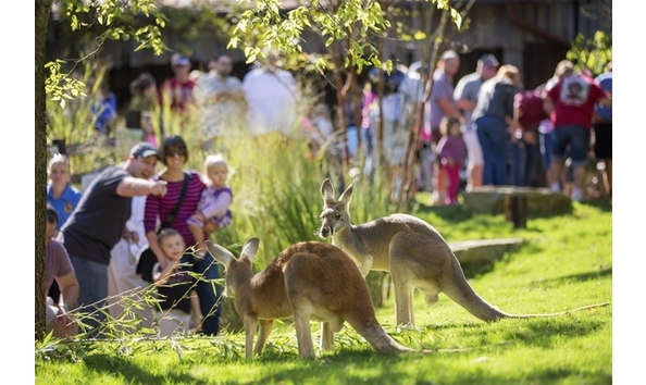 Big image nashville zoo 4