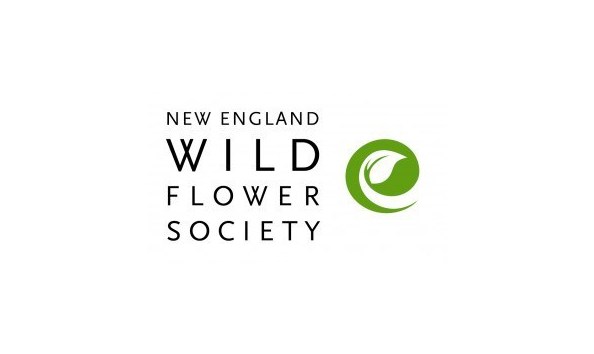 Big image nfs h 4c 300x171