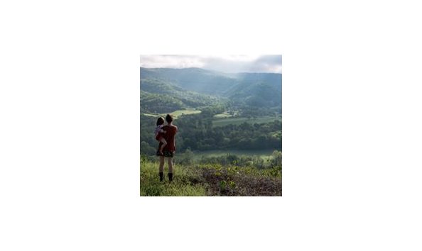 Big image alleycat 2