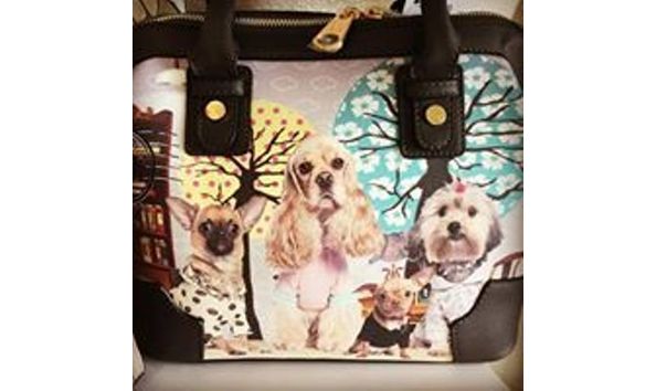 Big image mini magick20190117 87477 e0c3ye