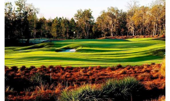 Big image mini magick20190117 87477 x5q1l0