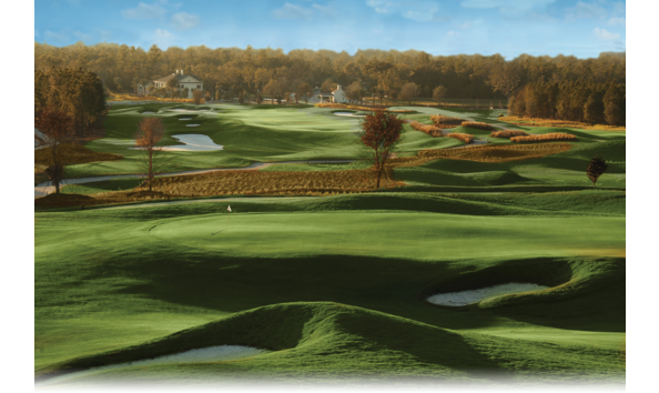 Big image mini magick20190117 87477 1xcjv7c