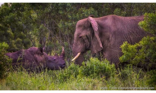 Big image mini magick20190117 87477 tpdebo