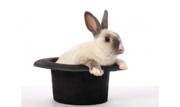 Big image shutterstock 46365388 560x437 1 