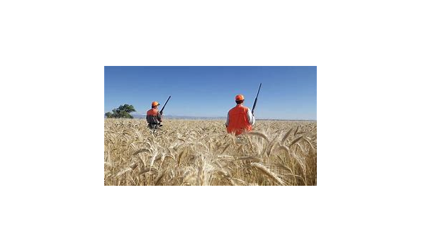 Big image hunting sw mn