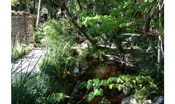 Big image sweet magnolia2