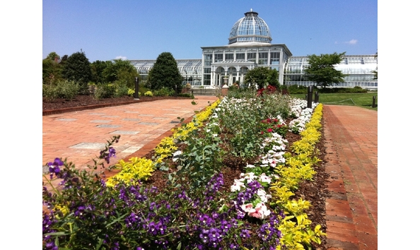 Big image lewis ginter 1 