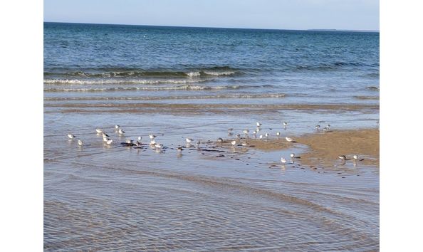 Big image a1ea27da 9af6 4228 990c fefd700c3bc5.c10