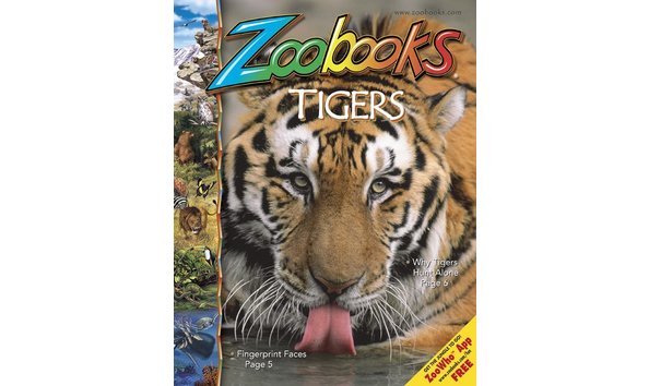 Big image zoobooks2