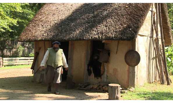 Big image henricus 1 