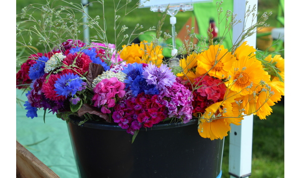 Big image img 9730 small