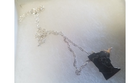 Big image vgr silent auction donation pic