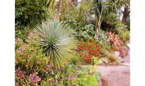 Big image san francisco botanical garden 1 e1445982579175