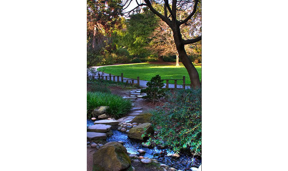 Big image meadow view lo