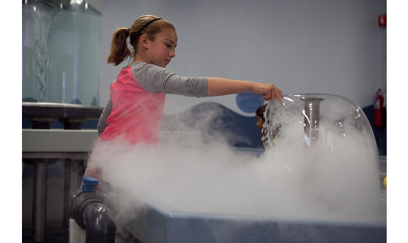 Big image 41938731222 c8b628ed6e z