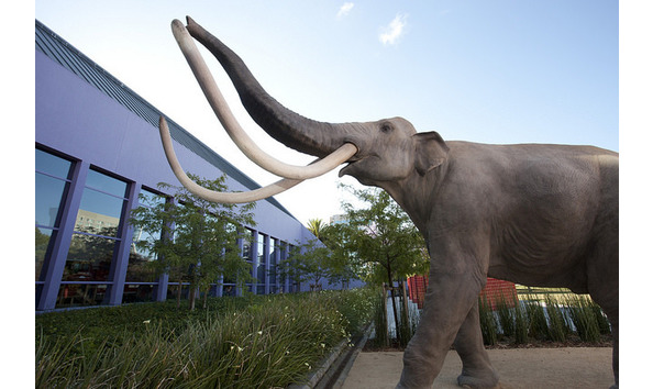 Big image 41983368651 34505c2206 z