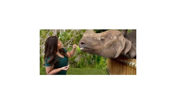 Big image mini magick20190122 16578 1khvlnl