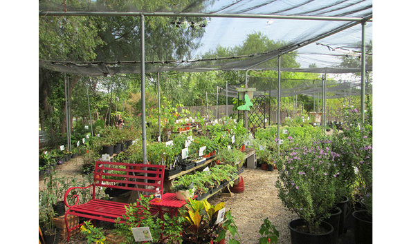 Big image mini magick20190122 16578 e1dq9q