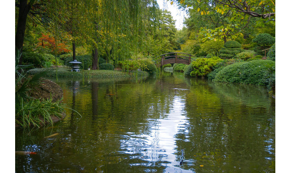 Big image mini magick20190122 16578 8b6cqt