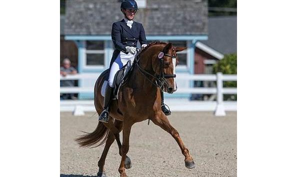 Big image savanna cdi