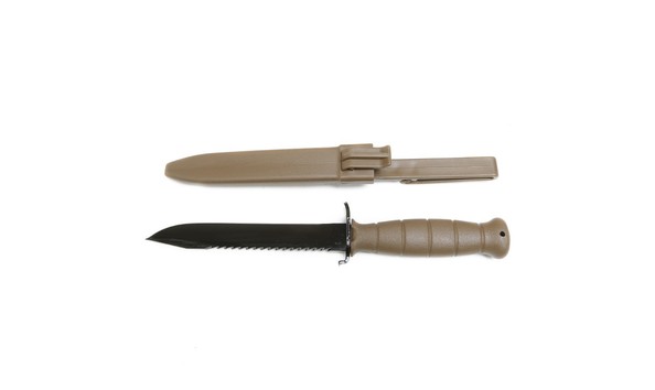 Big image coyote 1 1