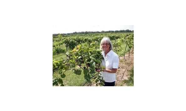 Big image strong tower 1