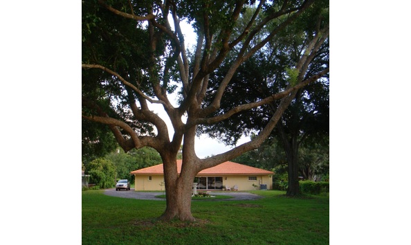 Big image mini magick20190125 87849 o6m41q