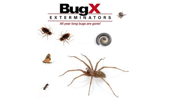 Big image mini magick20190127 1597 1xp5cwt