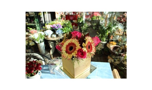 Big image wagon wheel3