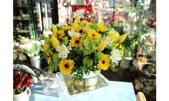 Big image wagonwheel4