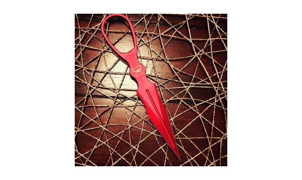 Big image 45049710 10156944960037941 1583406312908128256 o 300x300