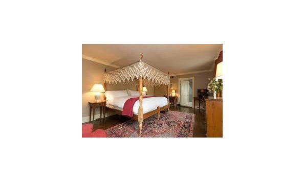 Big image red fox rooms