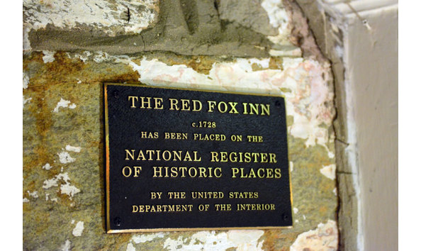 Big image redfox wall