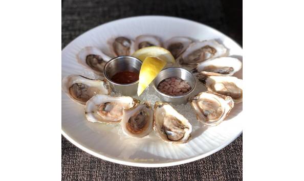 Big image 38147175 10158338304007524 6885499549549330432 n