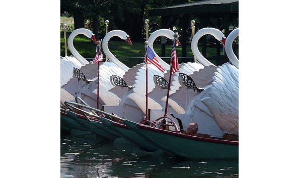 Big image 11209495 10154115892593102 5856623300514970324 n