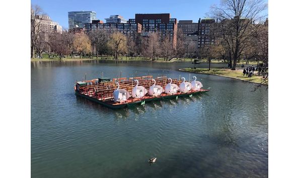 Big image 26230743 10157026410738102 3305040312581208960 n