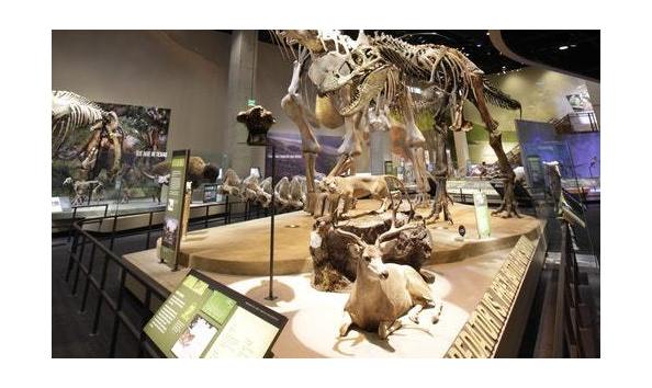 Big image mini magick20190201 84185 97jtq