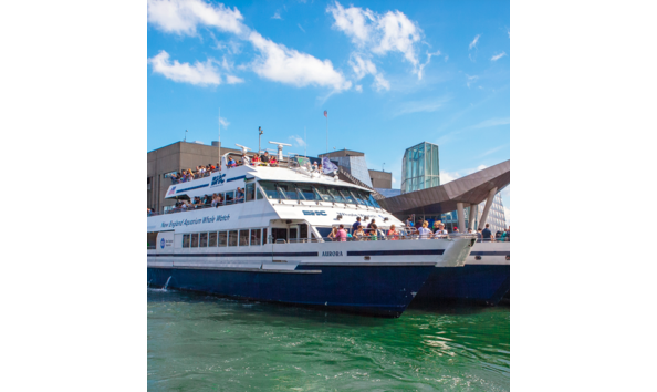 Big image screen shot 2019 02 02 at 1.58.02 pm