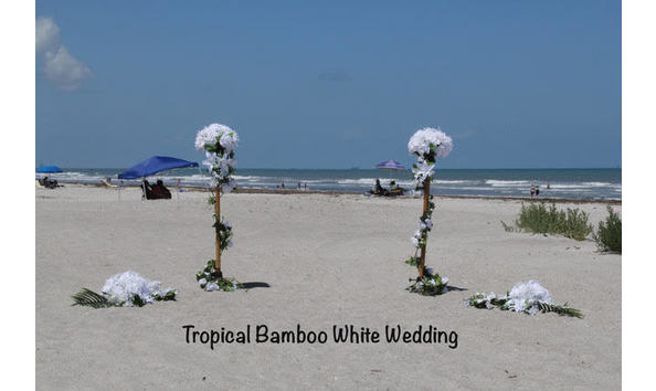 Big image wedding kiss 2