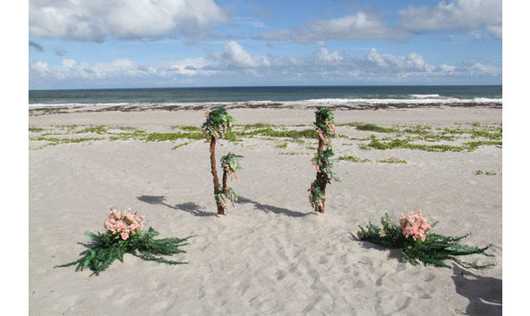 Big image wedding kiss