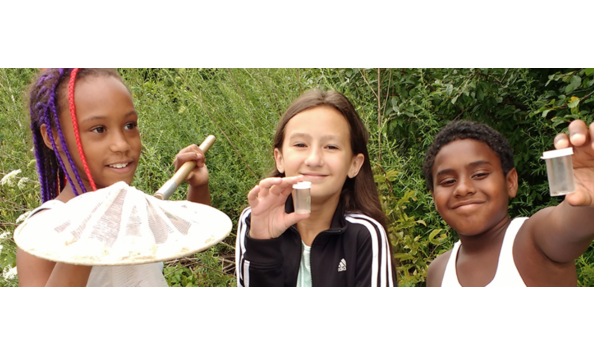 Big image screen shot 2019 02 03 at 10.37.31 am