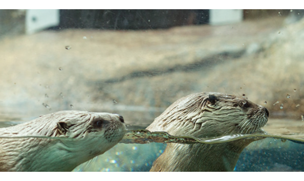 Big image screen shot 2019 02 03 at 10.37.42 am