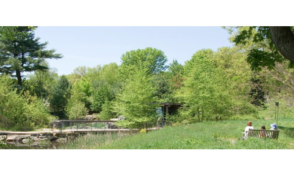 Big image screen shot 2019 02 03 at 10.37.51 am