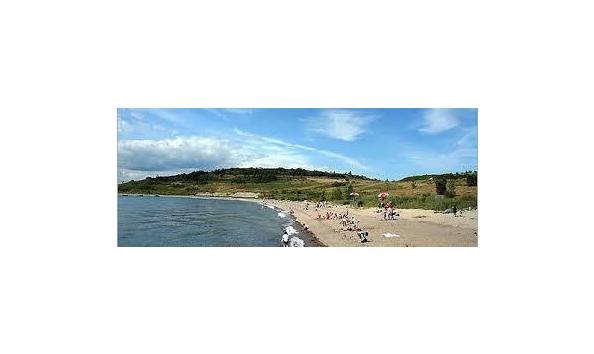 Big image mini magick20190205 20385 1eg4xat