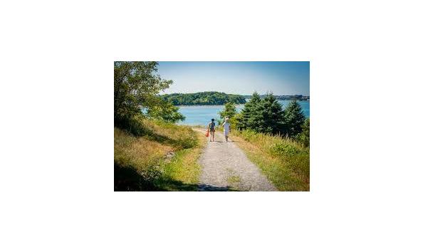 Big image mini magick20190205 20385 d5c255