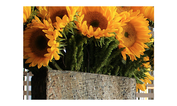 Big image screen shot 2019 02 05 at 1.42.00 pm