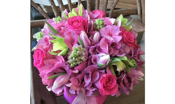 Big image screen shot 2019 02 05 at 1.42.21 pm