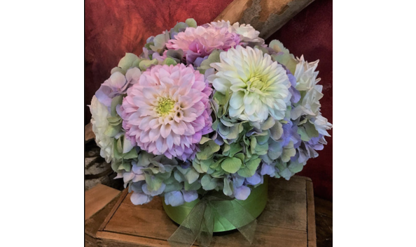 Big image screen shot 2019 02 05 at 1.42.41 pm