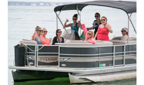 Big image blue pelican