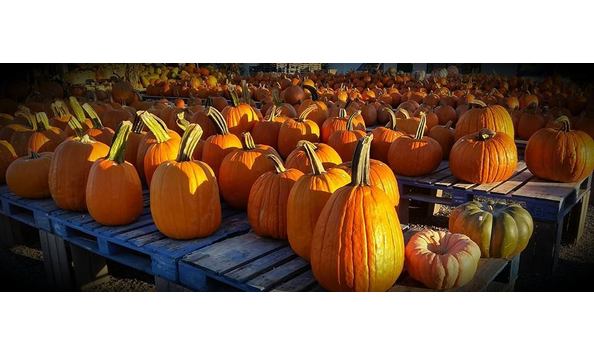 Big image 12112175 10153137182186127 3523133531457991691 n 1 